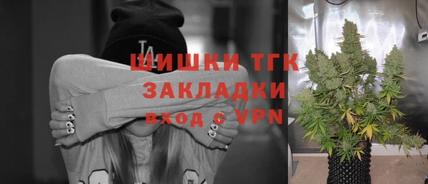 шишки Беломорск