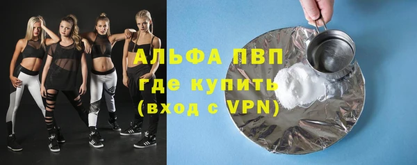 шишки Беломорск
