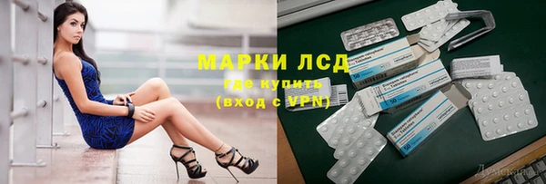 шишки Беломорск
