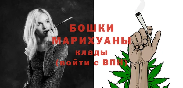 дживик Белокуриха
