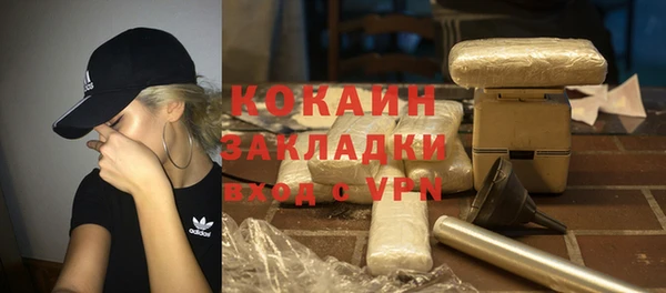 дживик Белокуриха
