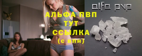 дживик Белокуриха
