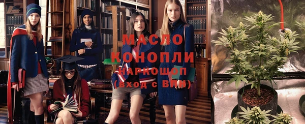 шишки Беломорск