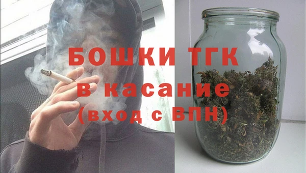 дживик Белокуриха