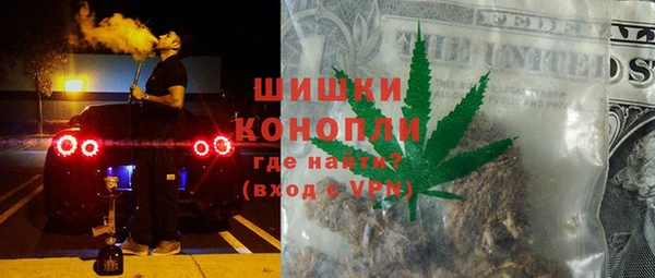 шишки Богородицк