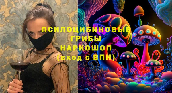 шишки Богородицк