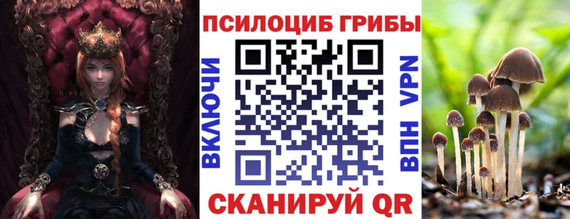 Галлюциногенные грибы Psilocybine cubensis  продажа наркотиков  Острогожск 